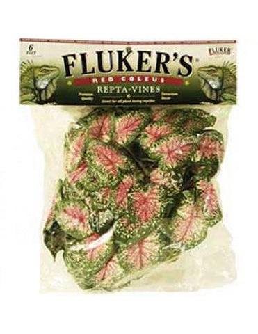 Fluker Labs - Repta-Vine Red Coleus