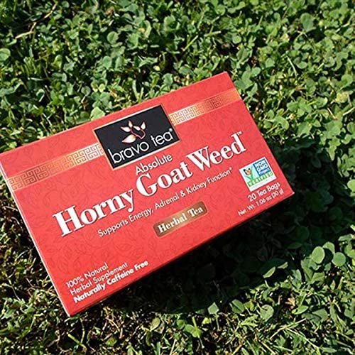 Bravo Teas & Herbs Absolute Tea Bag